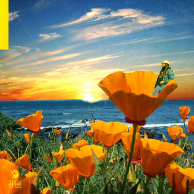 Rexx Life Raj – California Poppy 2